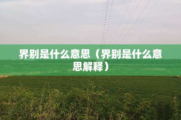 界别是什么意思（界别是什么意思解释）