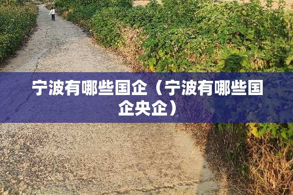 宁波有哪些国企（宁波有哪些国企央企）