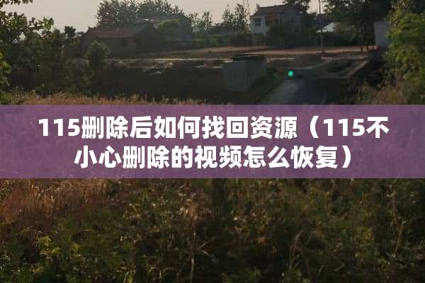 115删除后如何找回资源（115不小心删除的视频怎么恢复）