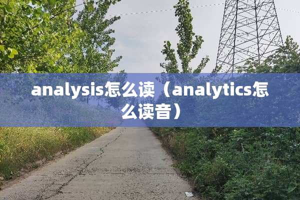 analysis怎么读（analytics怎么读音）