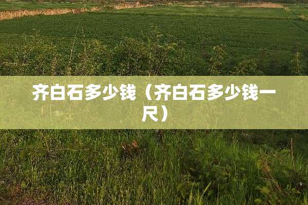 齐白石多少钱（齐白石多少钱一尺）