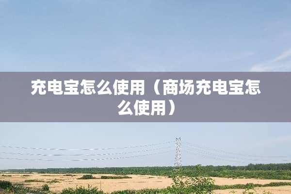 充电宝怎么使用（商场充电宝怎么使用）