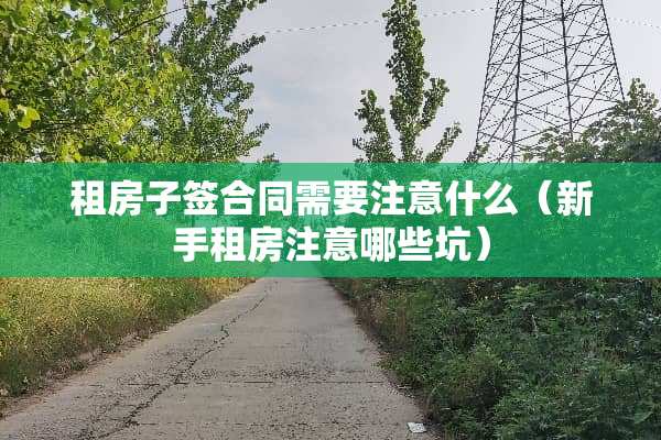 租房子签合同需要注意什么（新手租房注意哪些坑）