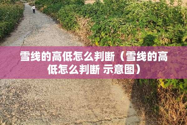 雪线的高低怎么判断（雪线的高低怎么判断 示意图）