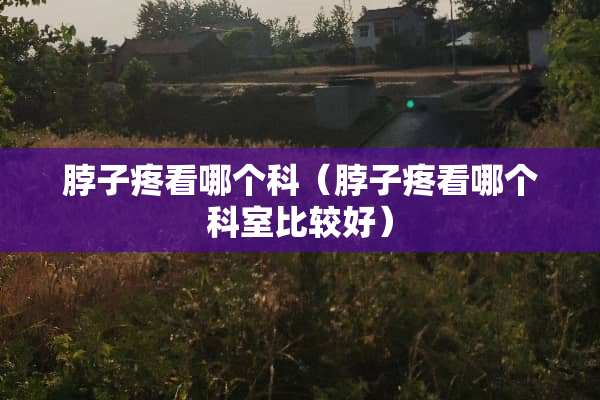 脖子疼看哪个科（脖子疼看哪个科室比较好）