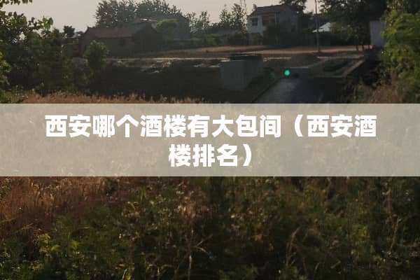 西安哪个酒楼有大包间（西安酒楼排名）