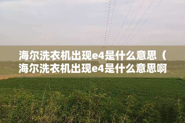 海尔洗衣机出现e4是什么意思（海尔洗衣机出现e4是什么意思啊）