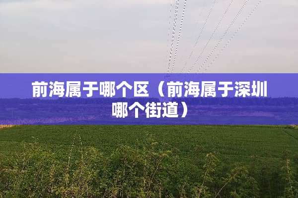 前海属于哪个区（前海属于深圳哪个街道）
