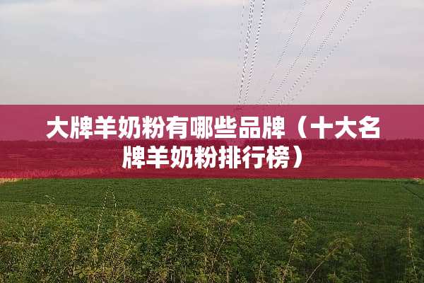 大牌羊奶粉有哪些品牌（十大名牌羊奶粉排行榜）