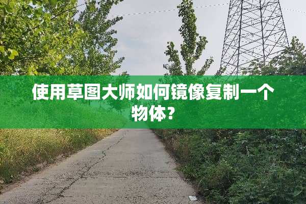 使用草图大师如何镜像复制一个物体？