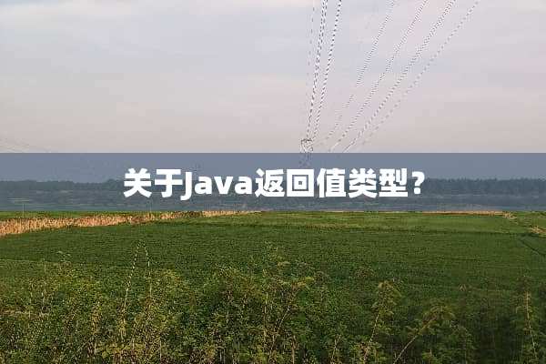 关于Java返回值类型？