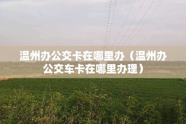 温州办公交卡在哪里办（温州办公交车卡在哪里办理）