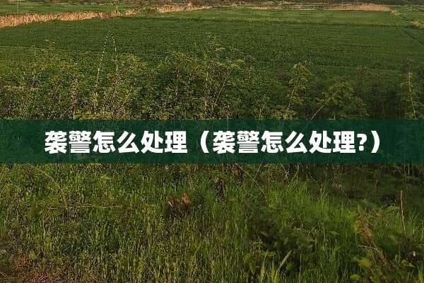 **怎么处理（**怎么处理?）