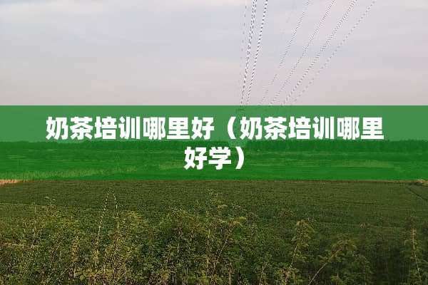 奶茶培训哪里好（奶茶培训哪里好学）