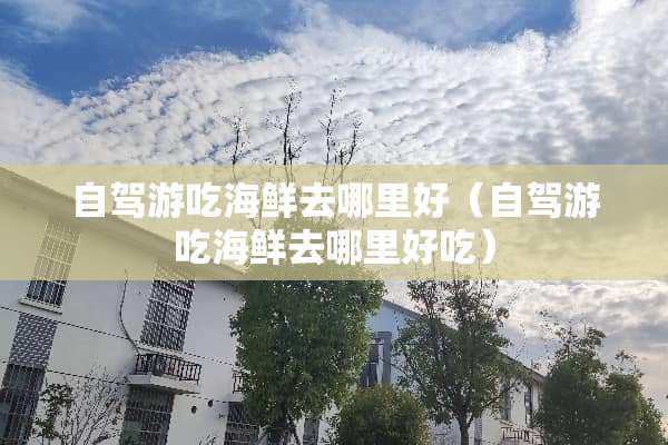 自驾游吃海鲜去哪里好（自驾游吃海鲜去哪里好吃）