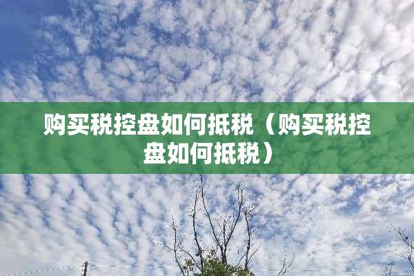 购买税控盘如何抵税（购买税控盘如何抵税）