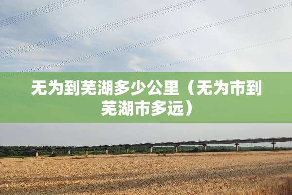 无为到芜湖多少公里（无为市到芜湖市多远）