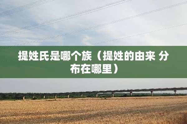 提姓氏是哪个族（提姓的由来 分布在哪里）