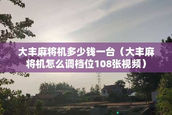 大丰**机多少钱一台（大丰**机怎么调档位108张视频）