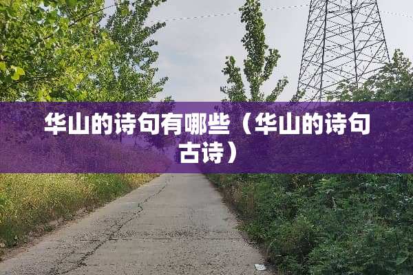 华山的诗句有哪些（华山的诗句古诗）