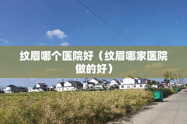 纹眉哪个医院好（纹眉哪家医院做的好）