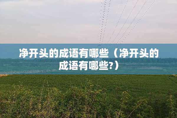 净开头的成语有哪些（净开头的成语有哪些?）