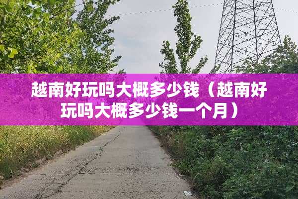 越南好玩吗大概多少钱（越南好玩吗大概多少钱一个月）