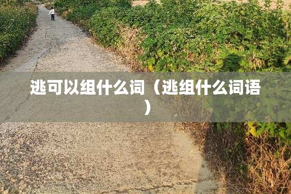 逃可以组什么词（逃组什么词语）