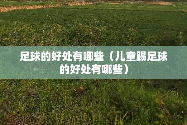 **的好处有哪些（儿童踢**的好处有哪些）