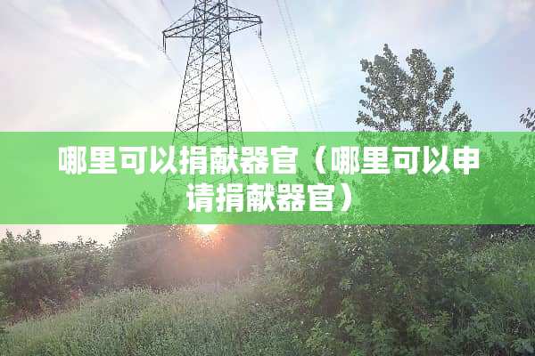 哪里可以捐献**（哪里可以申请捐献**）
