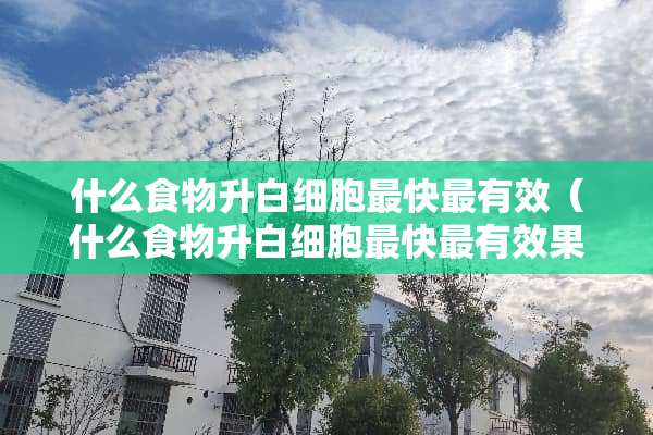 什么食物升白细胞最快最有效（什么食物升白细胞最快最有效果）