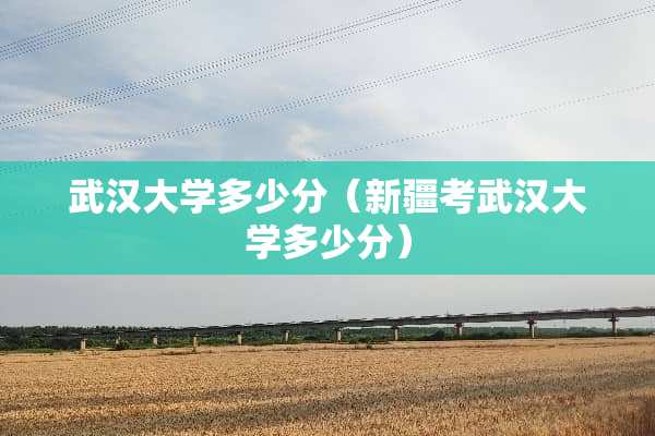 武汉大学多少分（新疆考武汉大学多少分）
