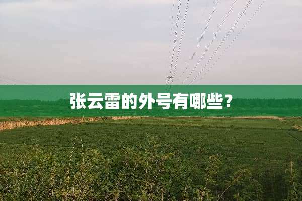 张云雷的外号有哪些？