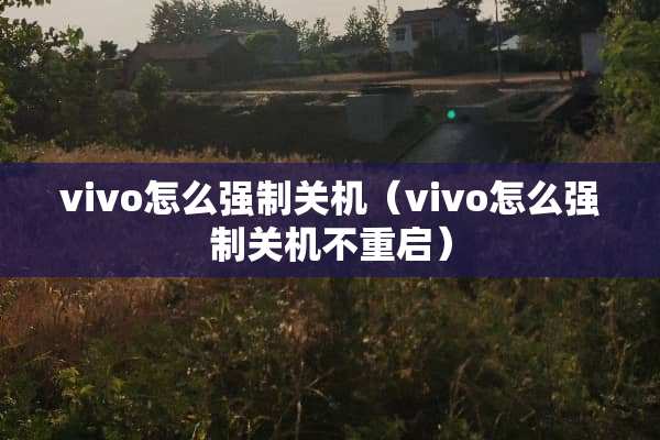 vivo怎么强制关机（vivo怎么强制关机不重启）