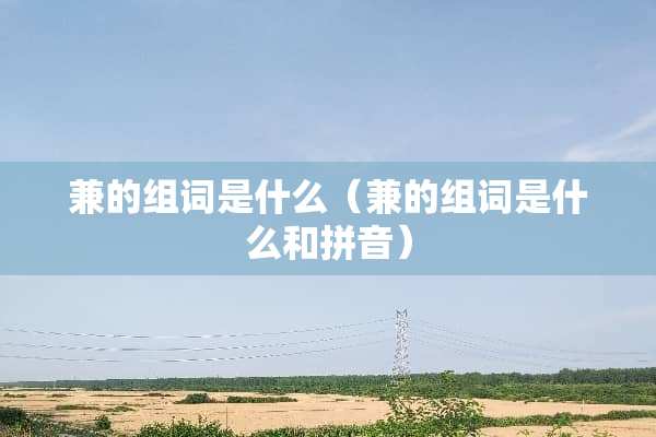 兼的组词是什么（兼的组词是什么和拼音）