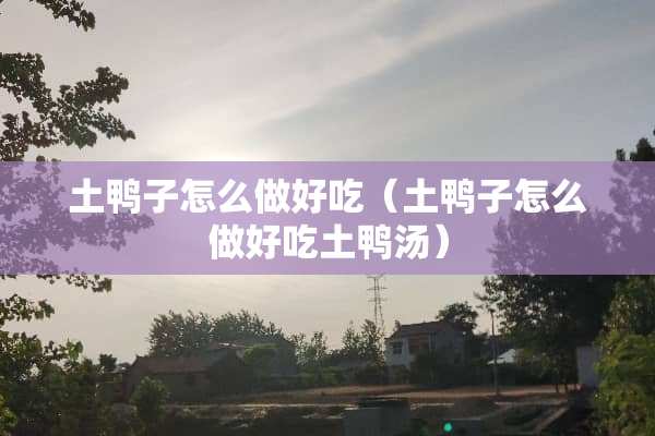 土鸭子怎么做好吃（土鸭子怎么做好吃土鸭汤）