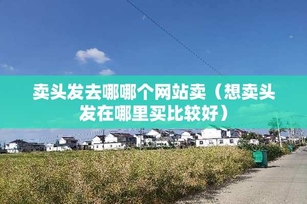 卖头发去哪哪个网站卖（想卖头发在哪里买比较好）