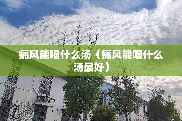 痛风能喝什么汤（痛风能喝什么汤最好）