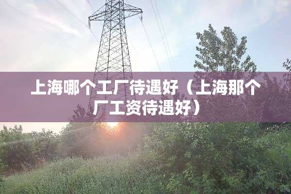 上海哪个工厂待遇好（上海那个厂工资待遇好）
