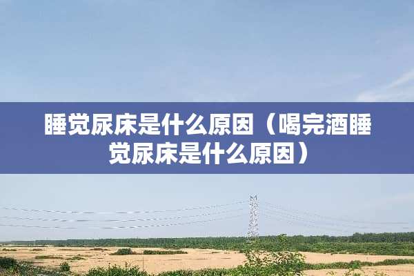 睡觉尿床是什么原因（喝完酒睡觉尿床是什么原因）