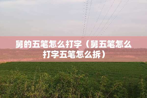 舅的五笔怎么打字（舅五笔怎么打字五笔怎么拆）