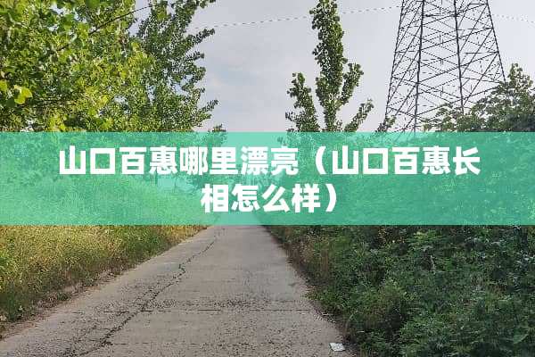 山口百惠哪里漂亮（山口百惠长相怎么样）