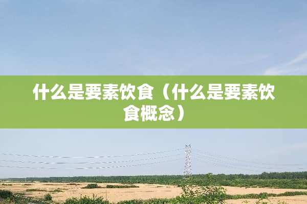 什么是要素饮食（什么是要素饮食概念）