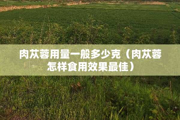 肉苁蓉用量一般多少克（肉苁蓉怎样食用效果最佳）