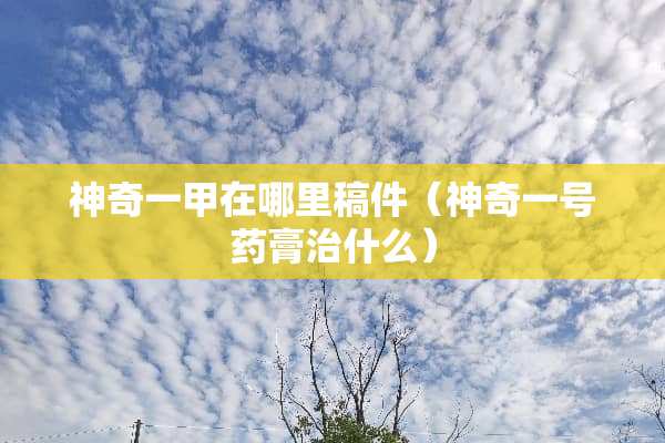 神奇一甲在哪里稿件（神奇一号药膏治什么）