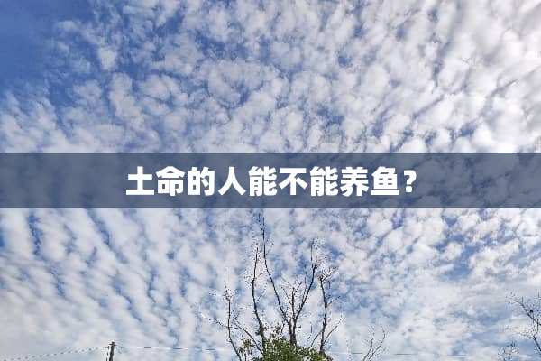 土命的人能不能养鱼？