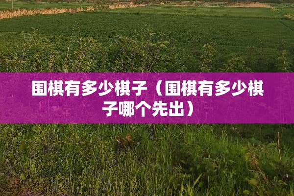 围棋有多少棋子（围棋有多少棋子哪个先出）