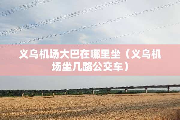 义乌机场大巴在哪里坐（义乌机场坐几路公交车）