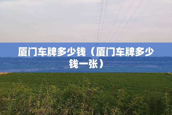 厦门车牌多少钱（厦门车牌多少钱一张）