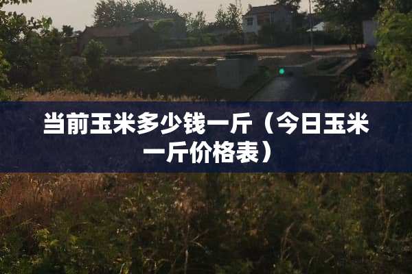 当前玉米多少钱一斤（今日玉米一斤价格表）